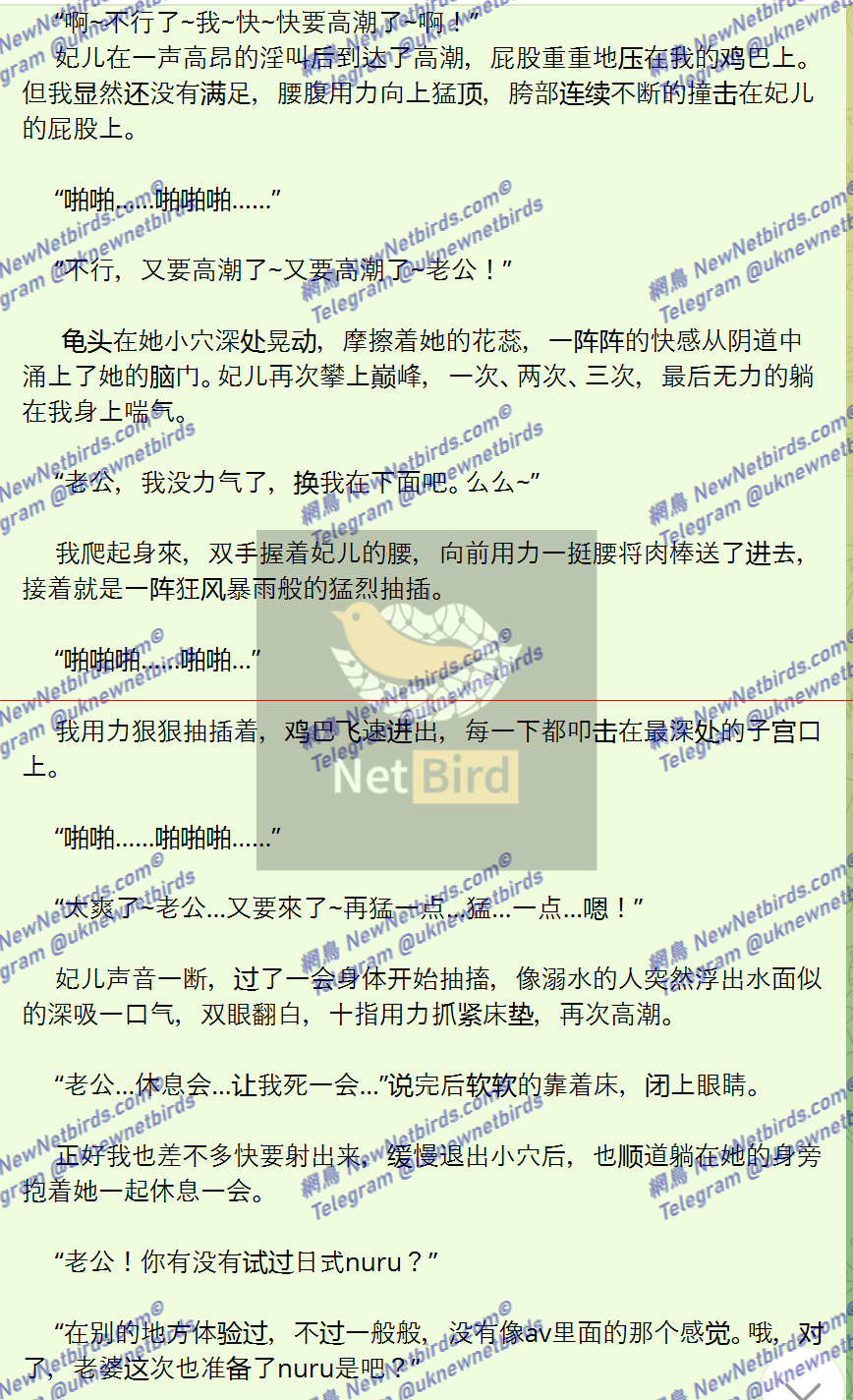 戰號 537 6.png